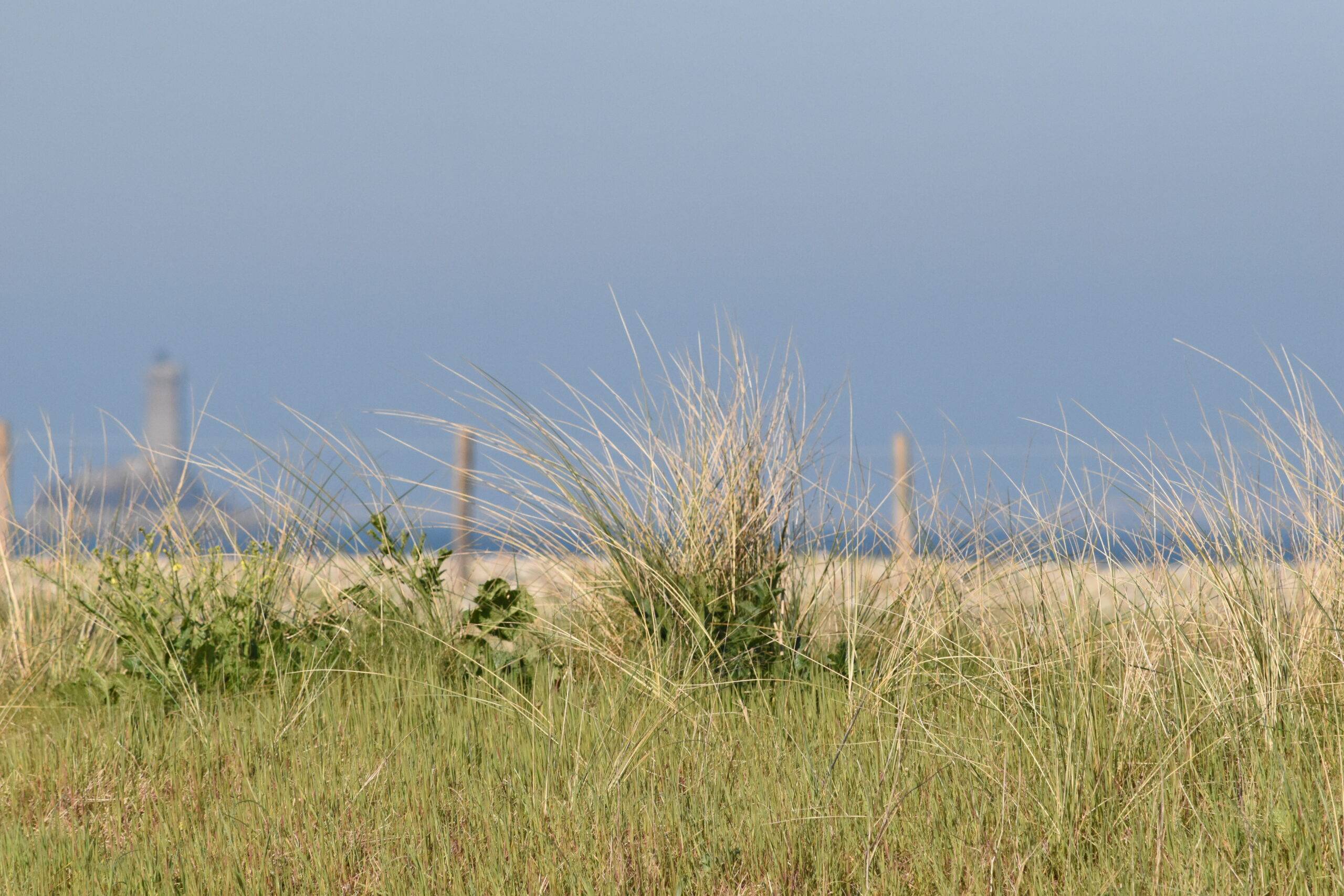 Endurance stage 11-04-2025