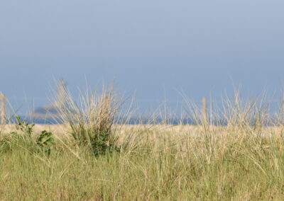 Endurance stage 11-04-2025 centre équestre Plogoff CEDFA