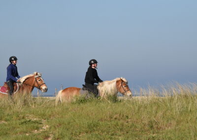 Endurance stage 11-04-2025 centre équestre Plogoff CEDFA
