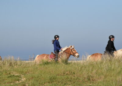 Endurance stage 11-04-2025 centre équestre Plogoff CEDFA