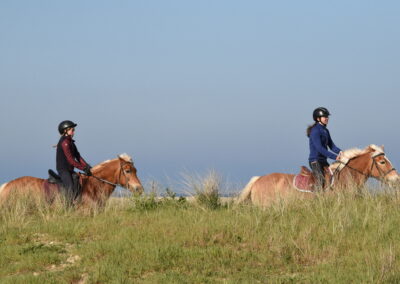 Endurance stage 11-04-2025 centre équestre Plogoff CEDFA