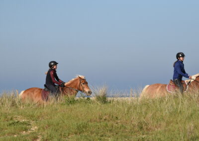 Endurance stage 11-04-2025 centre équestre Plogoff CEDFA