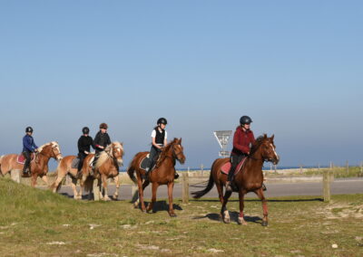 Endurance stage 11-04-2025 centre équestre Plogoff CEDFA