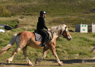Endurance stage 11-04-2025 centre équestre Plogoff CEDFA