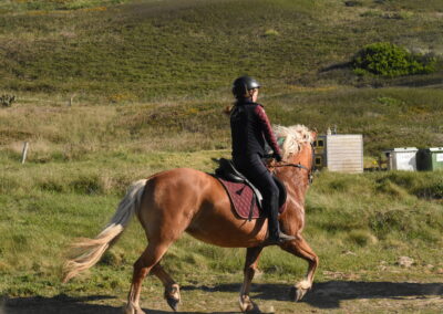 Endurance stage 11-04-2025 centre équestre Plogoff CEDFA