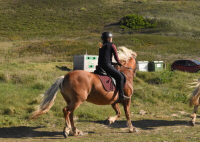 Endurance stage 11-04-2025 centre équestre Plogoff CEDFA