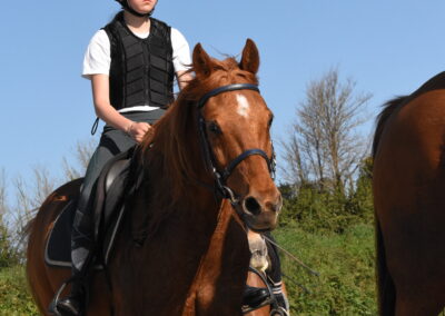 Endurance stage 11-04-2025 centre équestre Plogoff CEDFA