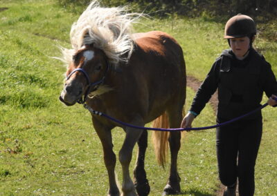 Endurance stage 11-04-2025 centre équestre Plogoff CEDFA