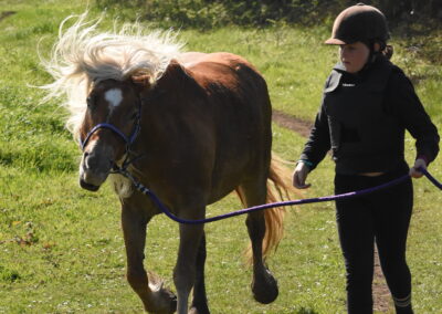 Endurance stage 11-04-2025 centre équestre Plogoff CEDFA