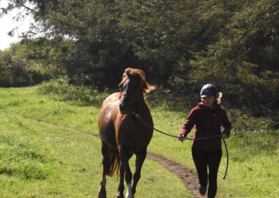 Endurance stage 11-04-2025 centre équestre Plogoff CEDFA