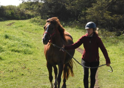 Endurance stage 11-04-2025 centre équestre Plogoff CEDFA