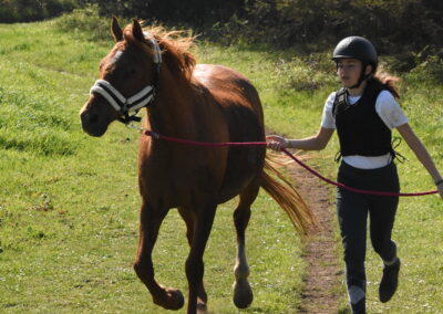 Endurance stage 11-04-2025 centre équestre Plogoff CEDFA