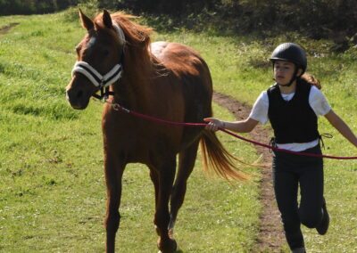 Endurance stage 11-04-2025 centre équestre Plogoff CEDFA